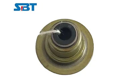 How to Check Valve Stem Seals